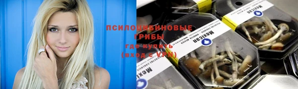 винт Баксан
