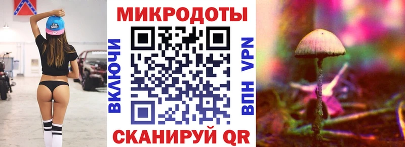 darknet наркотические препараты  купить  сайты  Семикаракорск  Псилоцибиновые грибы Psilocybe 